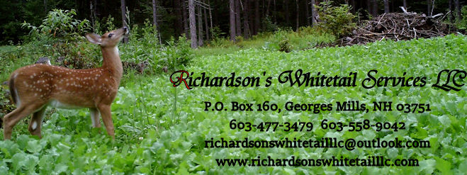 whitetailsvcsbanner