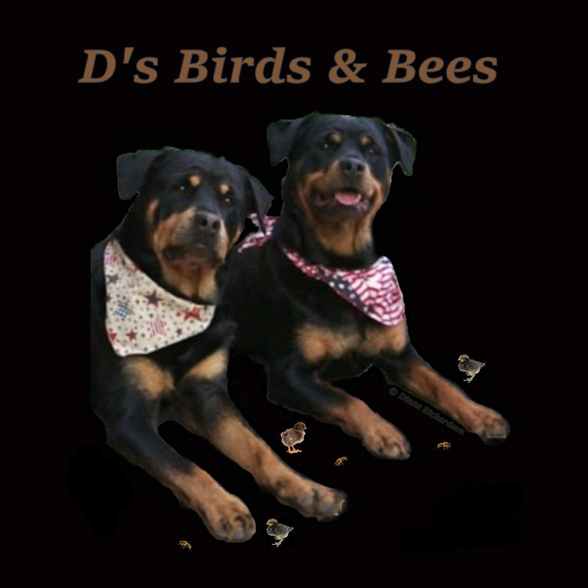 birdsandbees