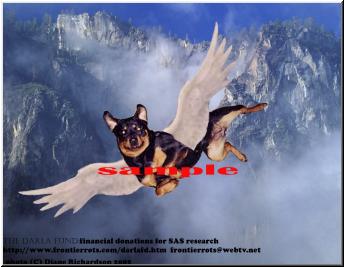 Darla Sample