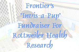 invisapupfundraiser