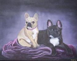 french bulldogs