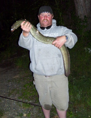 Rob and Ct river eel