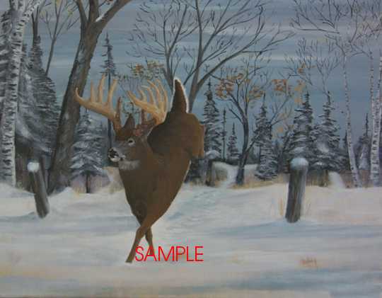 whitetailjump