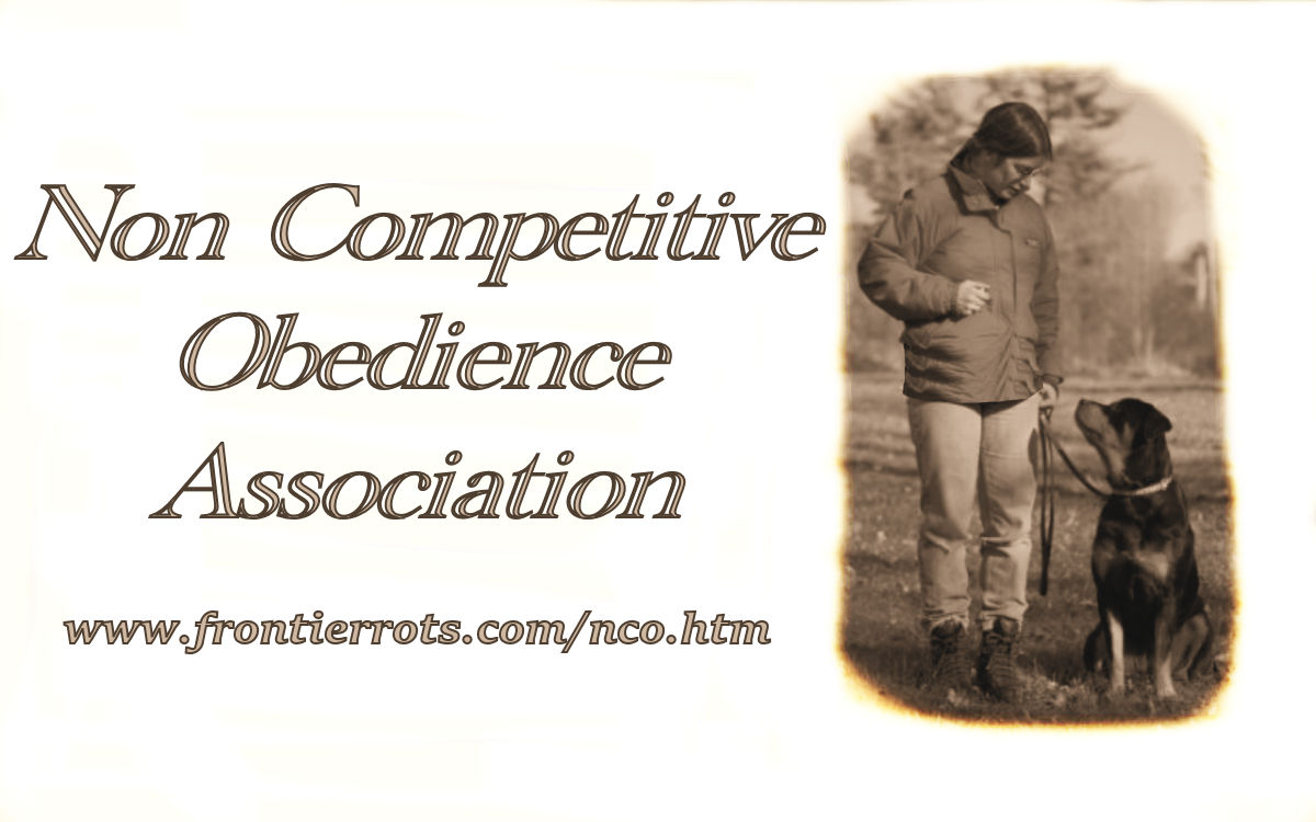 non competitive obedience association