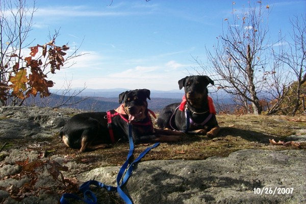 Annie & Bea Sullivan County farm overlook