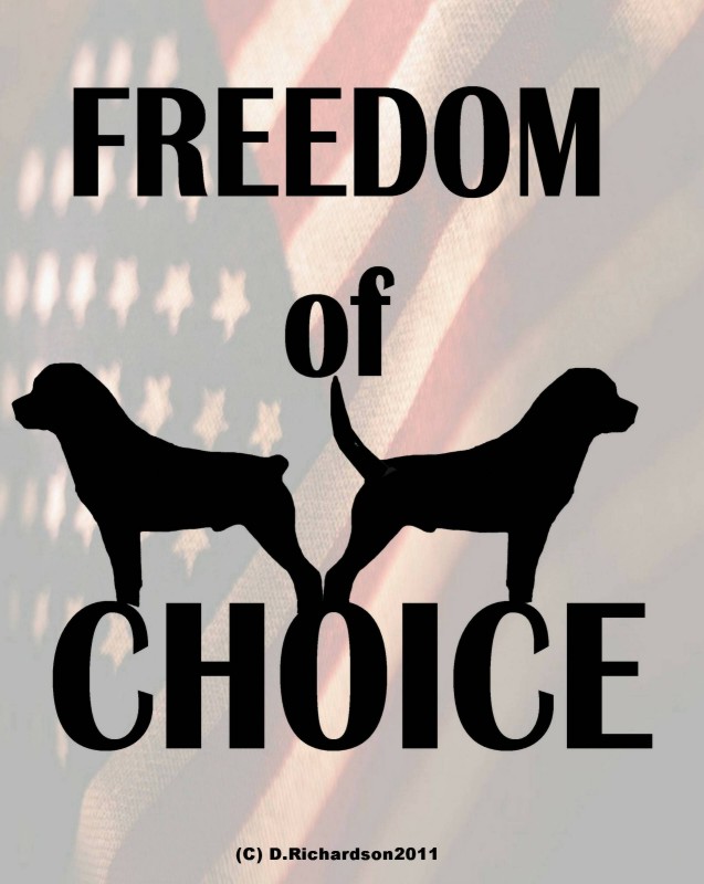 freedomofchoicedesign2