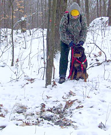 Itsy coyote