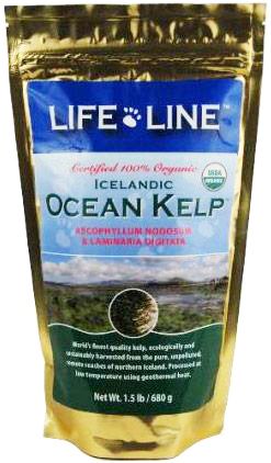 lifeline kelp