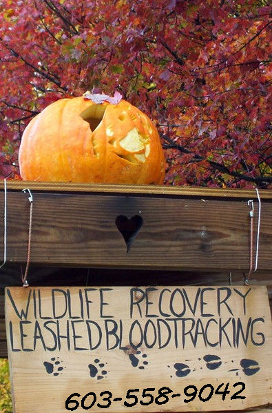 wccwrpumpkinsign