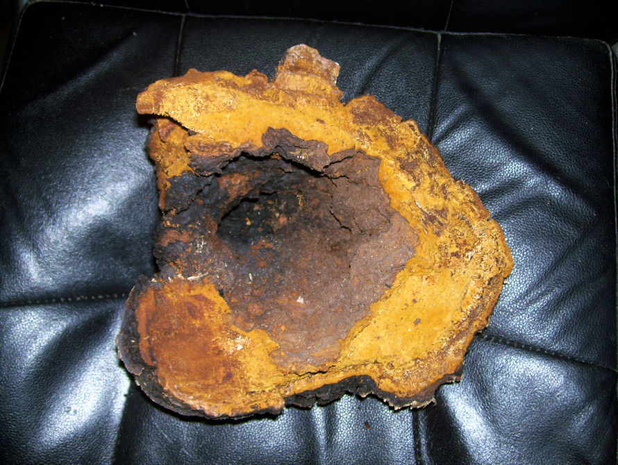 wild Chaga Mushroom (click image for more info) chaga